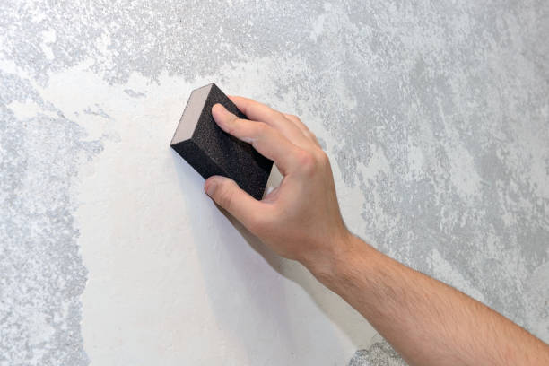 Best Mold Odor Removal Services  in New Hope, MS