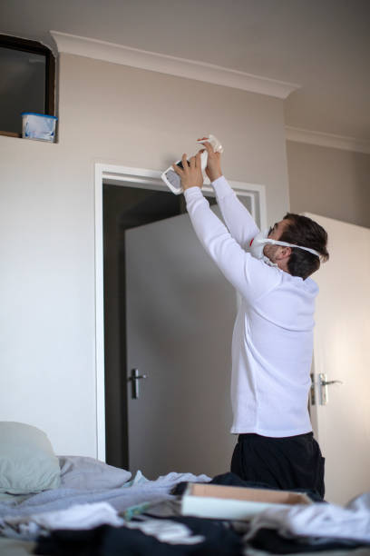 Best Environmental Consulting for Mold Prevention  in New Hope, MS