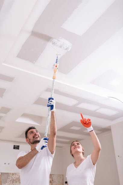 Best Mold Damage Restoration  in New Hope, MS