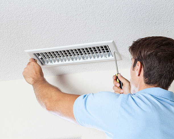 Best Black Mold Removal  in New Hope, MS