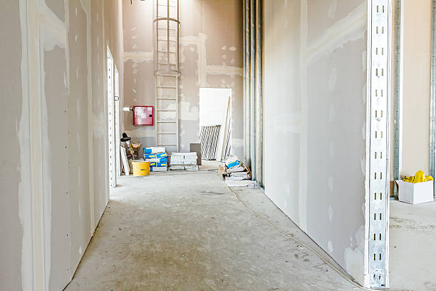 Biohazard Mold Removal in New Hope, MS