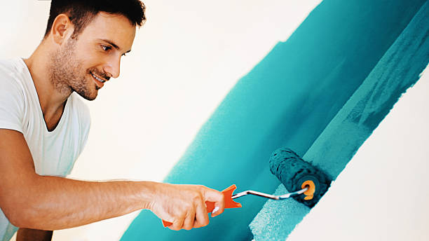 Best Attic Mold Removal  in New Hope, MS