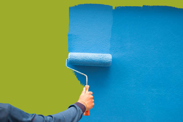 Professional Mold Removal in New Hope, MS