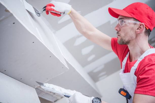 Best Basement Mold Removal  in New Hope, MS